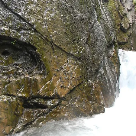 Erlengrund 1 *